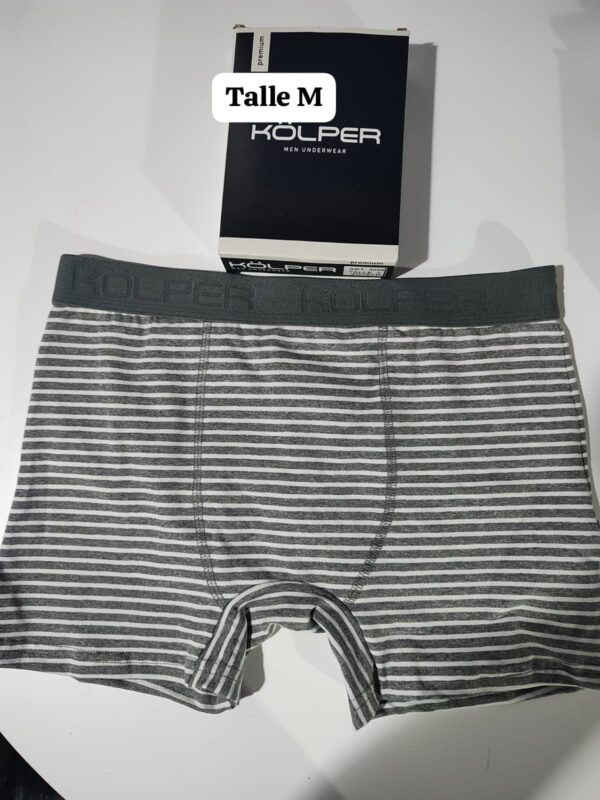 Boxer kolper rallsa gris
